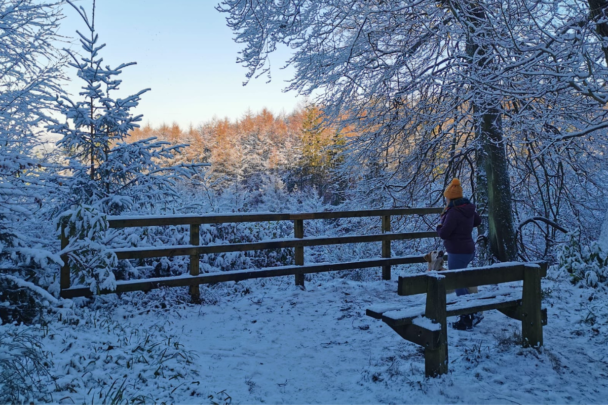A young women in winter clothing and a hat stands looking at a golden Labrador. They are standing in a forest covered in snow.