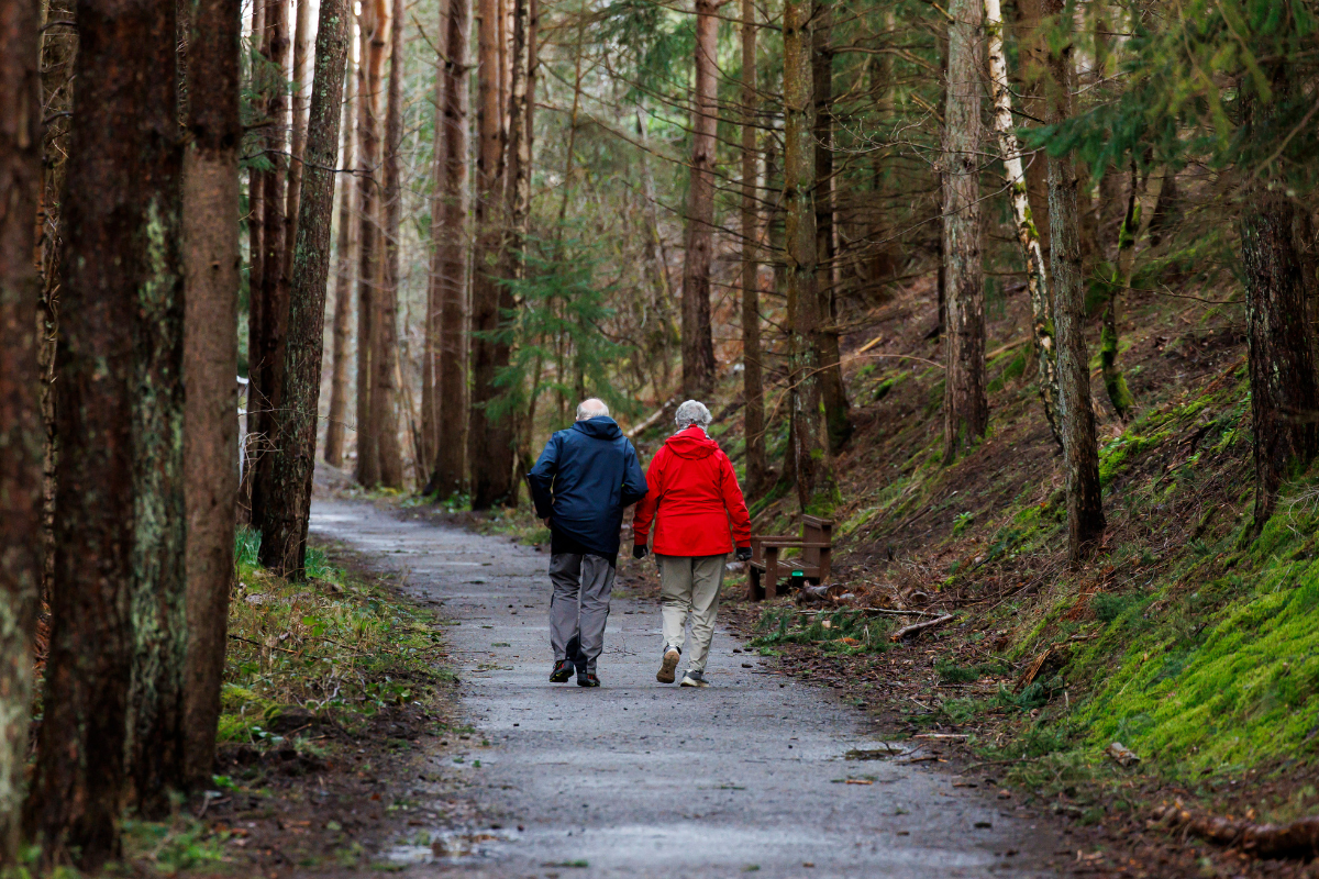 Two individuals walking along a long curving path bordered by tree and grass covered slopes.