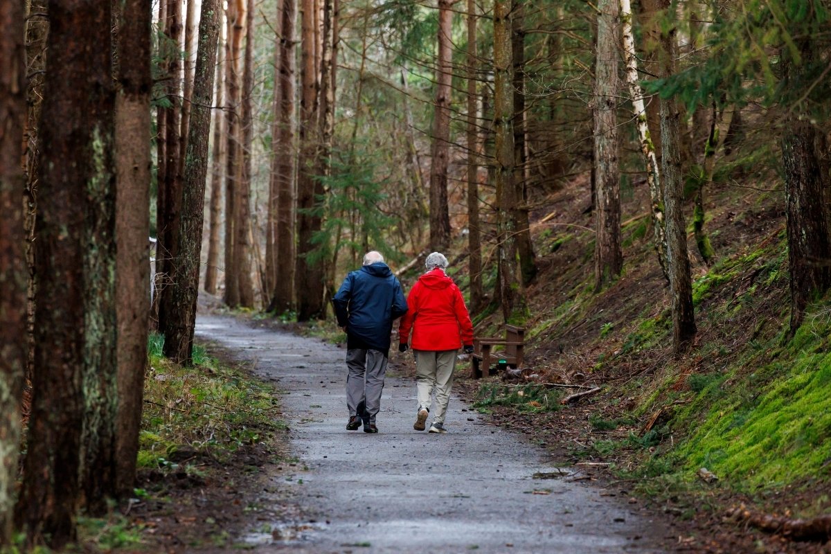 Two individuals walking along a long curving path bordered by tree and grass covered slopes.