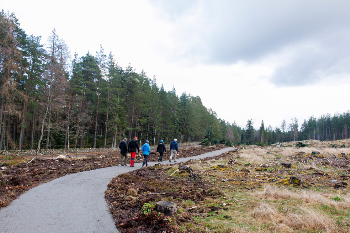 A group of people walk along a long sweeping path across moorland. In the background a woodland can be seen.