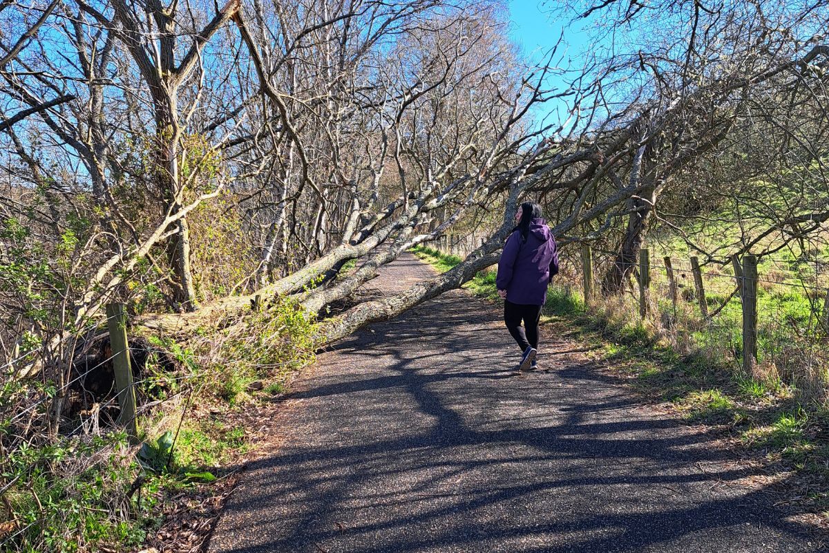 A woman in a purple raincoat walks along a path.