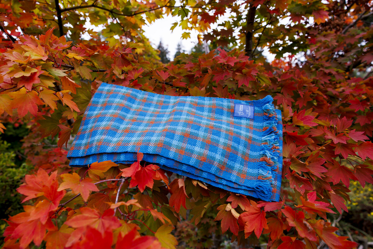 Walking Scotland's tartan blue scarf sits on a tree with autumnal orange and yellow leaves.